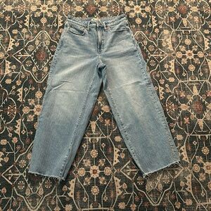 Madewell the curvy perfect vintage wide leg crop Jean